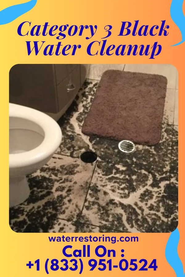 Category 3 Black Water Cleanup in Seven Hills, OH