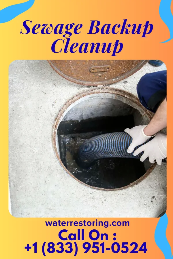 Sewage Backup Cleanup in Seven Hills, OH