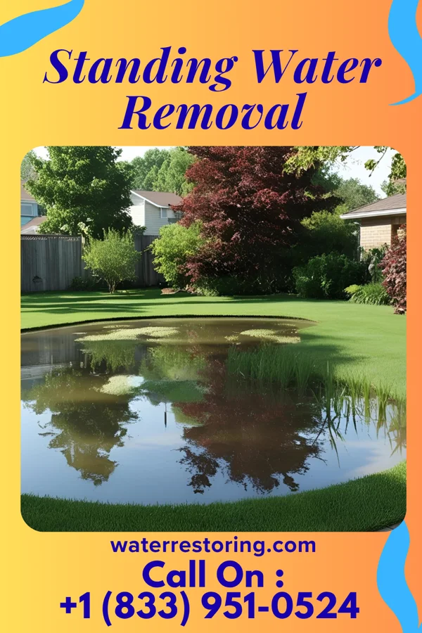 Standing Water Removal in Seven Hills, OH